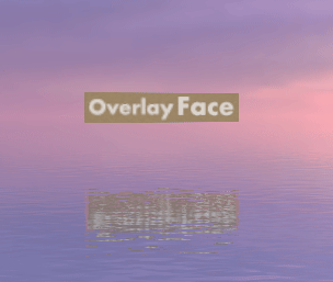 OverlayVsFace